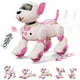 thumbnail image 1 of Juguete robot programable para perros flybakiz para niños con control por voz, 1 of 8