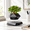 Black, variant on Floating Plant Pot Levitating For