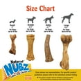 thumbnail image 4 of Nylabone Nubz Bone Broth Dog Chew Treats Ham Large/Giant - Up to 50 lbs. (1 Count), 4 of 9