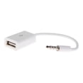 thumbnail image 1 of Thinsony Car Audio Cable U Disk CD Player Converter Wire Portable Hotel Conversion, 1 of 6