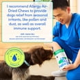 thumbnail image 5 of Native Pet Dog Allergy Chews Supplement for Immune Support & Allergy Relief, 120ct, 5 of 8