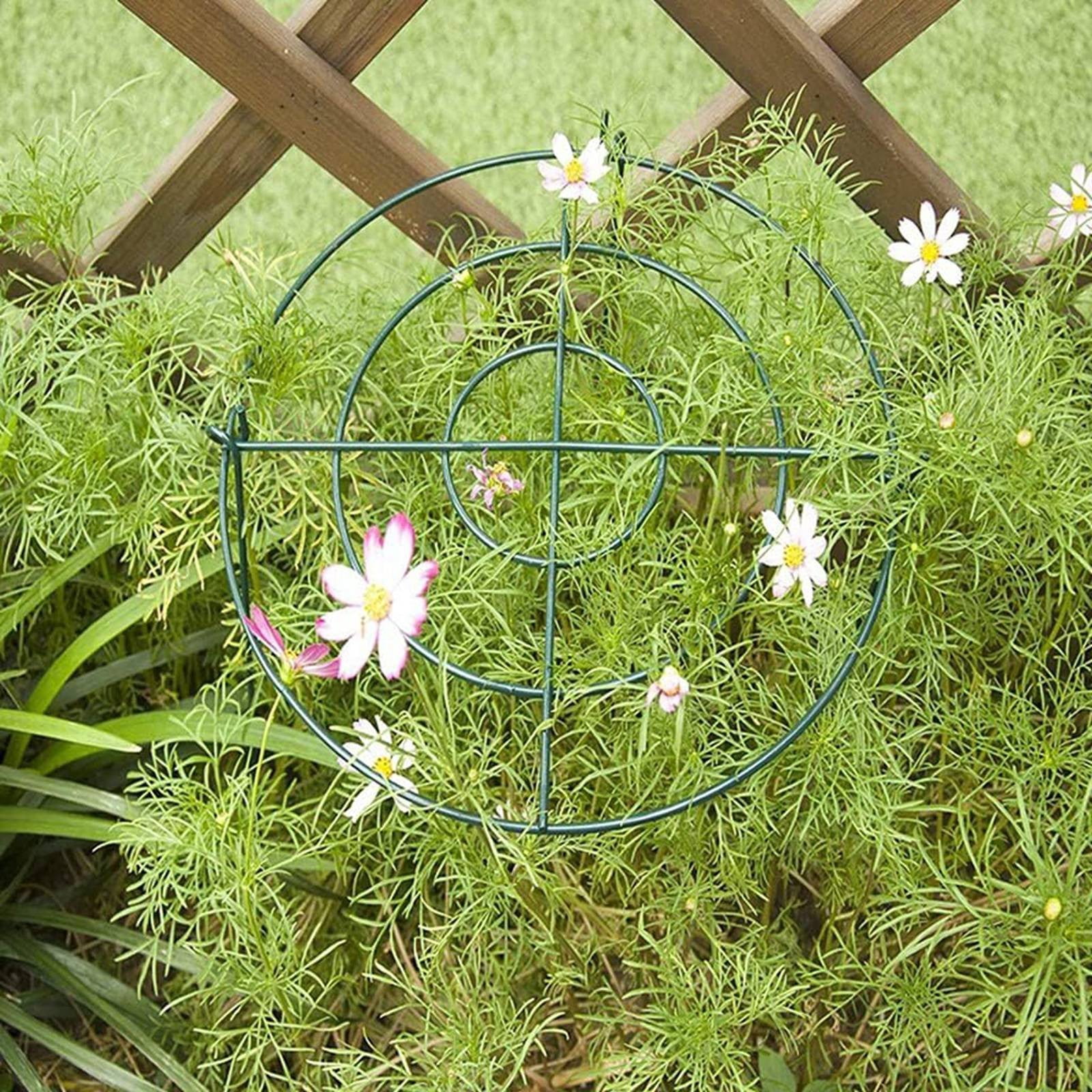 Peony Support Cage, Plant Flower Stake, Garden Plant Support, Horticultural Stake, For Peonies, Tomatoes, Climbing Vegetables Two Styles(B-12In)