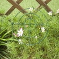 thumbnail image 4 of Green Garden Climbing Frame with Grid Support for Peonies Durable Iron with Easy Installation in Multiple Sizes, 4 of 6