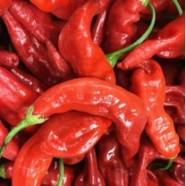 Sherwood's Seeds Aji Strawberry Drop Limon Kellu Uchu Chile Heirloom Pepper Seeds