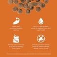 thumbnail image 4 of GO! SOLUTIONS SKIN + COAT CARE Salmon Recipe for dogs, 4 of 5