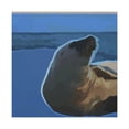 thumbnail image 1 of Sea Lion Pop Pop - Canvas, 1 of 10