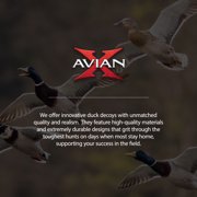 Avian X Topflight Early Season Mallard Duck Realistic Decoy, 18 Pack