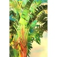 thumbnail image 3 of Bradshaw, Melinda 11x14 Black Modern Framed Museum Art Print Titled - Bird of Paradise Palm I, 3 of 5