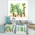 thumbnail image 2 of Designart ' Indoor Green Home House Plants in Pots I ' Traditional Canvas Wall Art Print, 2 of 4