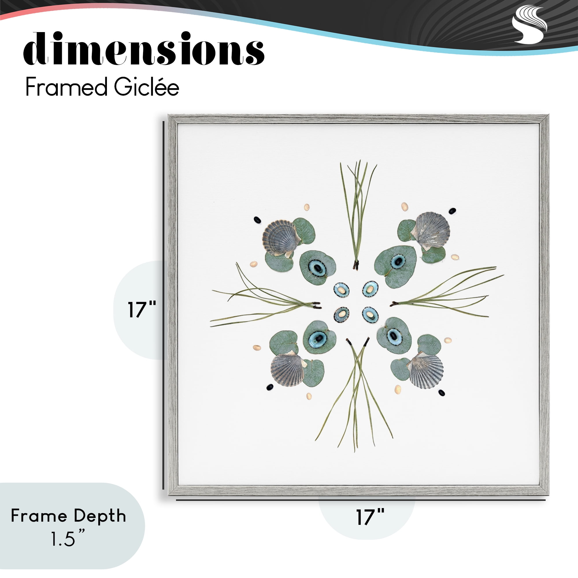 Stupell Industries Seashell & Leaf Symmetry Gray Framed Giclee Art, design by Beth Adoette