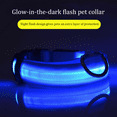 thumbnail image 3 of Collar para perros Pamolo con luz LED y pies de visibilidad, 3 of 6