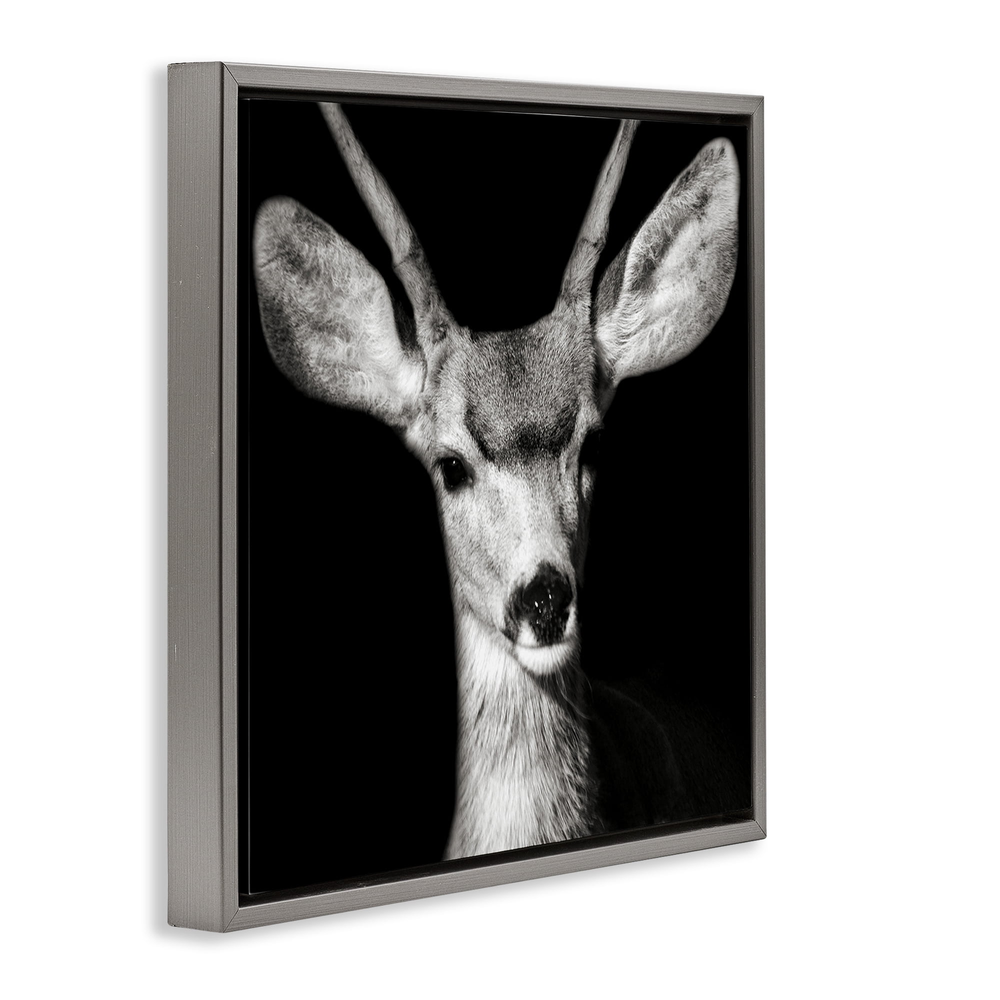 Stupell Industries Gazing Deer Portrait Animals & Insects Photography Gray Floater Framed Canvas Art Print Wall Art, 18 x 18