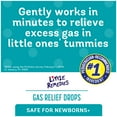 thumbnail image 3 of Little Remedies Gas Relief Drops, Natural Berry Flavor, Safe For Newborns, 1 fl oz, 3 Pack, 3 of 9