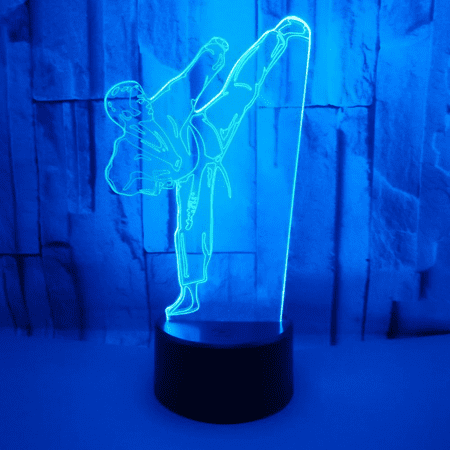 

TIMPCV Creative 3D Taekwondo Night Light 16 Colors Changing Remote Control Touch Switch Decor Optical Illusion Lamp LED Table Desk Lamp Children Christmas Birthday Gift（Style O）