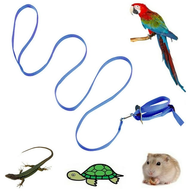 Bird Harness Leash Creative Nylon Adjustable Parrot Harness Leash Bird Supplies