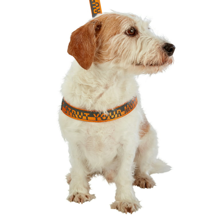Best Friends Dog Harness-Neoprene Comfort Liner-Orange and Gray, Small