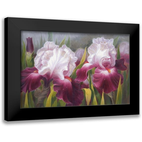Murphy, John 14x11 Black Modern Framed Museum Art Print Titled - American Flowers VI
