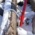 thumbnail image 5 of Felled Log Peavey Tool with Hook - 8 to 32in Cap Logger Peavy Hook Log Roller, 5 of 7