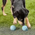 thumbnail image 2 of Dog toys chuckit med rebounce ball 2-pack (HTOOQ), 2 of 5