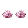 thumbnail image 2 of Youkk Crystal Growing Experiment Science Kit for Kids Conduct Crystals Red 175x125x60mm 2Set, 2 of 6