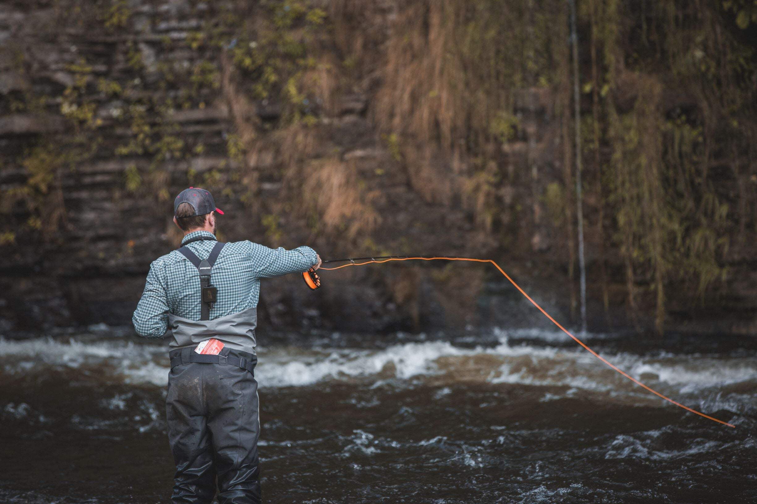 Salmon Steelhead - Orange / White