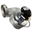 thumbnail image 3 of Fasco A260 Inducteur de Draft de Remplacement, 3 of 4