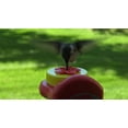 thumbnail image 5 of Nectar DOTS Window Hummingbird Feeder Yellow and Red WD-1, 2 Large DOTS, 5 of 7