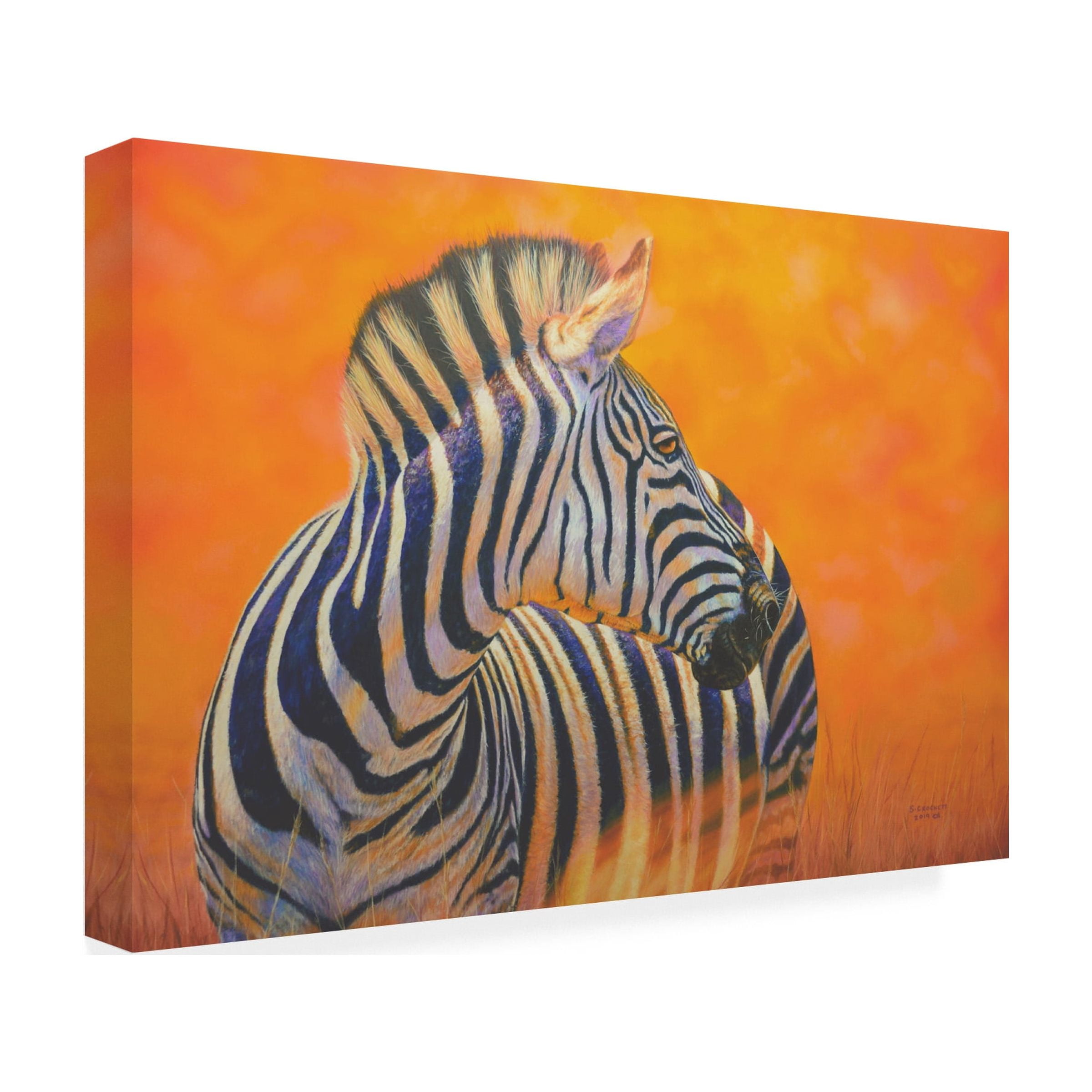 Steve Crockett 'Zebra' Canvas Art