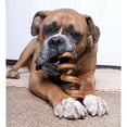 thumbnail image 2 of Downtown Pet Supply Bully Sticks For Dogs Spiral Rawhide Free Dog Chews 10", 40 Pack, 2 of 5