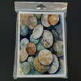 thumbnail image 3 of Sand Dollars Greeting Cards Pack of 8 7 in x 5 in, 3 of 3
