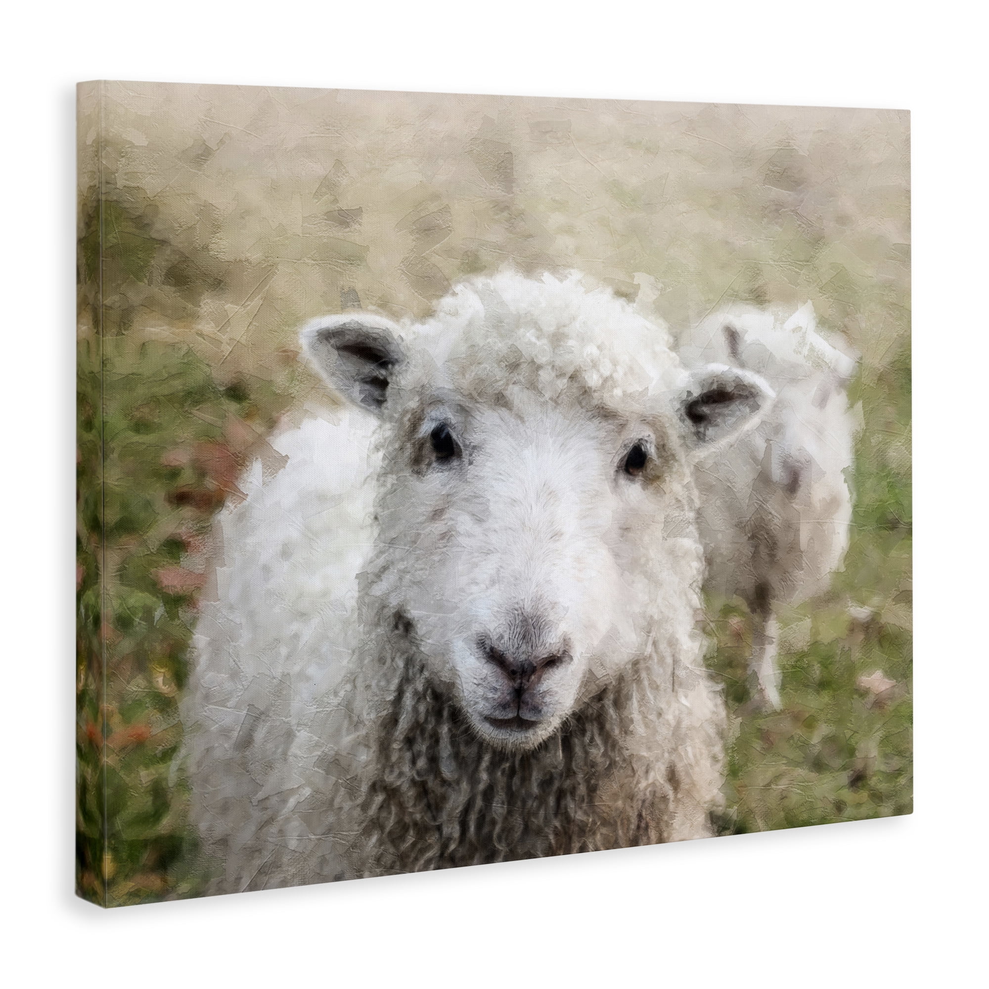 Stupell Industries Close Up Sheep Gaze Animals & Insects Painting Gallery Wrapped Canvas Art Print Wall Art, 48 x 36