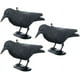 thumbnail image 1 of Repelente de palomas - Cuervo - Repelente contra pájaros pequeños y palomas - Alcance de aproximadamente 36 cm., 1 of 5
