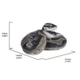 thumbnail image 4 of Hi-Line Gift 87680-B Regius Ball Python Statue, 4 of 7