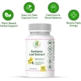 thumbnail image 4 of BEXPERTSUSA Damiana Leaf Capsules – Herbal Supplement for Energy, Mood & Wellness – Non-GMO, Gluten-Free – 60 Capsules, 4 of 14