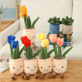 thumbnail image 3 of Creative Succulent Plant Decoration Plush Fun Simulation Potted Office Home Decoration-SinKeeU, 3 of 4