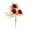 C, variant on 16.5" Artificial Ping Pong Chrysanthemum Bright Multi-Layer Petals Single Stem Vivid Floral Pick for Fall Table Centerpiece Home Decor