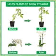 thumbnail image 5 of 90 Pcs Plant Support Set, Climbing Aid for Tomato Plants, Includes 20 Supports, 40 End Caps, 20 Round Buckles and 10 Extensions, Garden Tool Kit, 5 of 7