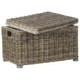 thumbnail image 6 of Safavieh Mikasi Trunk, Grey, 6 of 6