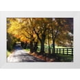 thumbnail image 3 of Alan Hausenflock 32x23 White Modern Wood Framed Wall Art Titled - Country Road I, 3 of 5