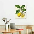 thumbnail image 3 of Nawypu Vintage Botanical Prints | Citrus Wall Art Kitchen Lemon Decor Mediterranean, 3 of 5