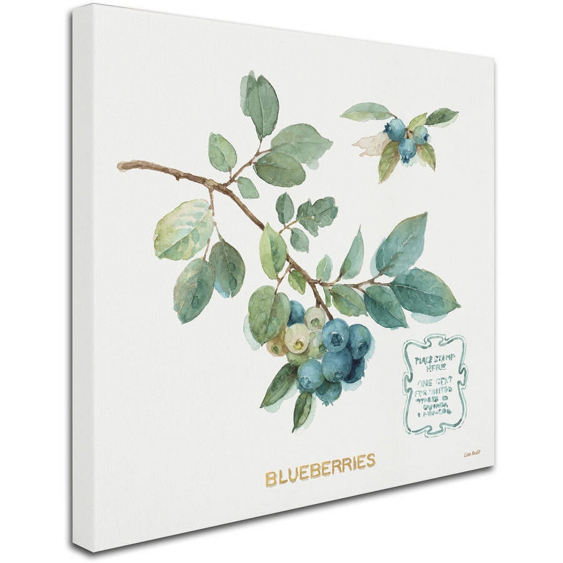 Trademark Fine Art "My Greenhouse Fruit II" Canvas Art by Lisa Audit