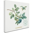 thumbnail image 2 of Trademark Fine Art "My Greenhouse Fruit II" Canvas Art by Lisa Audit, 2 of 2