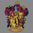 thumbnail image 2 of Boy's Harry Potter Gryffindor Ornate Crest Performance Graphic T-Shirt, 2 of 4