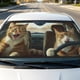 thumbnail image 1 of Car Windshield Sunshade Foldable Sunshade For Sun Protection And Heat Insulation, 1 of 6