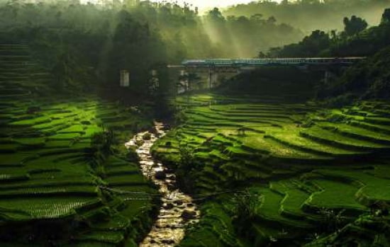 Crossing The Beauti
