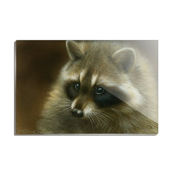 Raccoon Masked Bandit Rectangle Acrylic Fridge Refrigerator Magnet