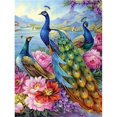 thumbnail image 1 of 30x40 Cm Peinture Diamant 8d Diy Complet, Pintura De Diamante Hecha A Mano De Pavo Real 2, Diy Diamond Strass Toile Point De Croix Painting Par Numro Pour Dco, 1 of 5