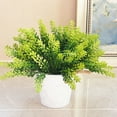thumbnail image 5 of D-GROEE .3 Bouquets Simulation Flower 15 Flower Heads Realistic Looking Not Withered Unfading No Watering Decorate Vibrantly Colored Simulation Plant Pteris Plastic Flower Home Accessory, 5 of 5