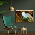 thumbnail image 2 of Cacun Wall Art with Frame, Bottom View of Cenote Opening in the Form of a Heart Wildlife Scene, Printed Fabric Poster for Bathroom Living Room, 35" x 23", Brown Green, by Ambesonne, 2 of 2
