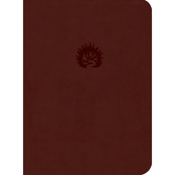 ESV Reformation Study Bible, Brick Red, Leather-Like (Hardcover)